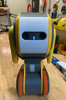 Rokx from the front: a white head with two stereo camera eyes on a yellow and grey body over drive wheels